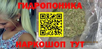 мяу мяу мука Гусиноозёрск