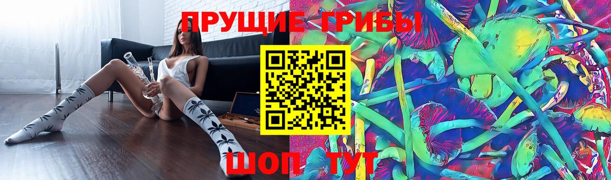 Фурманов  Псилоцибиновые грибы Psilocybine cubensis  Вход с VPN 