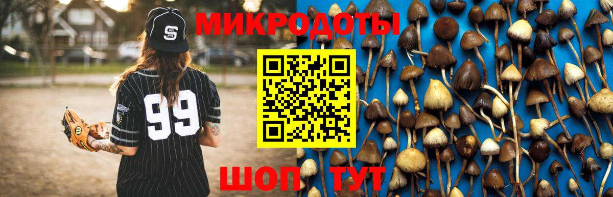 Псилоцибиновые грибы Psilocybe Фурманов